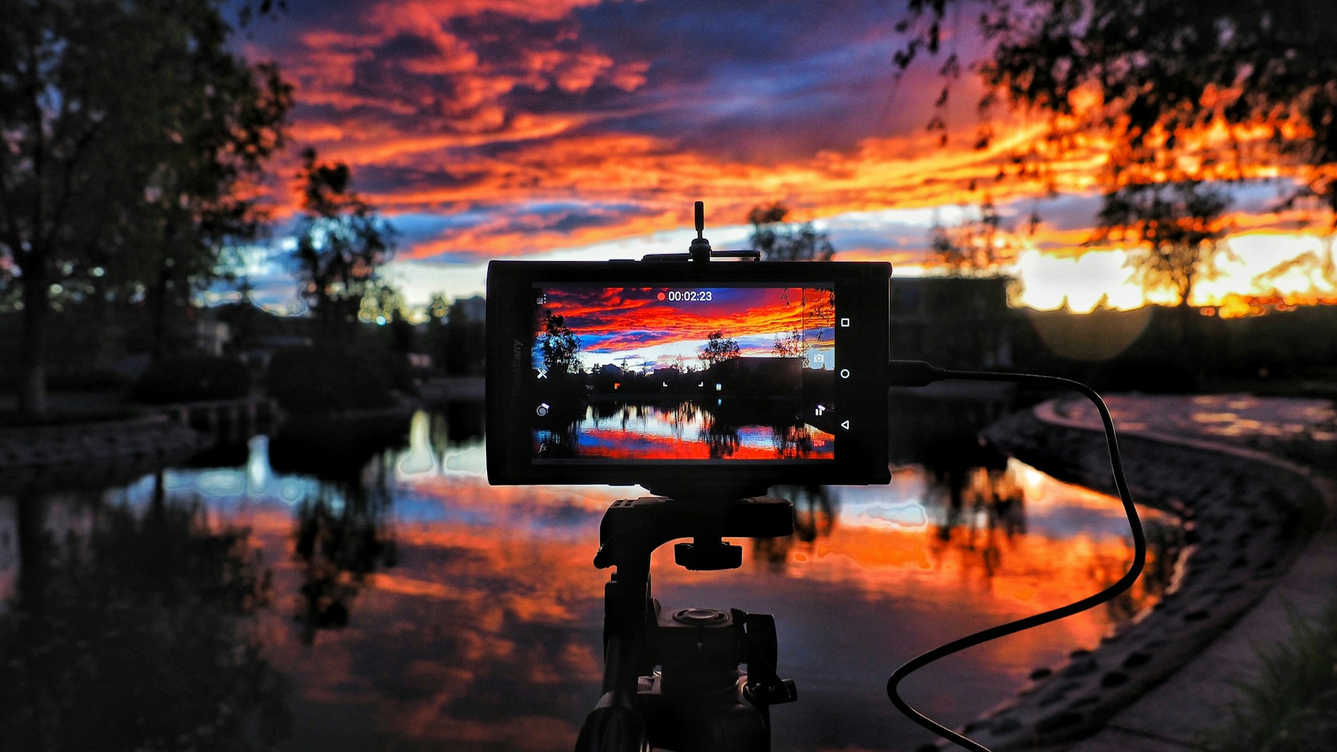 jimmy-chang-eXg_ah-ebc4-unsplash (1)